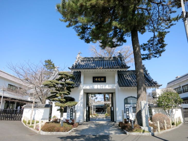 寺