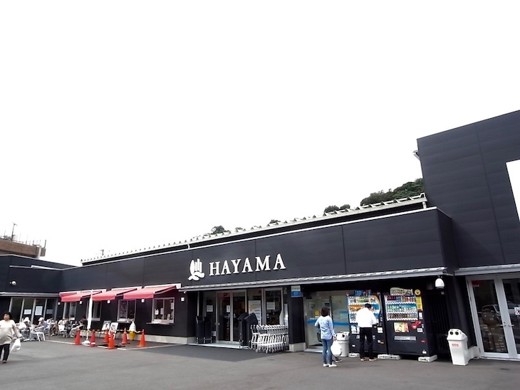 道の駅「HAYAMA STATION」 