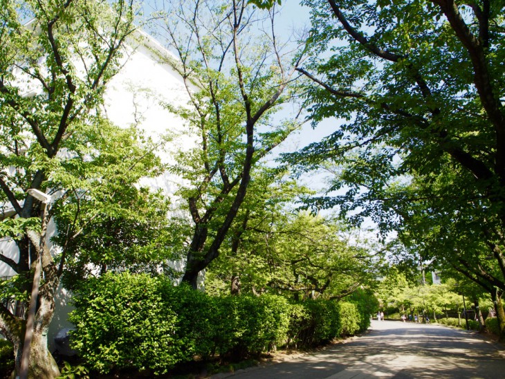 駅から続く緑道。