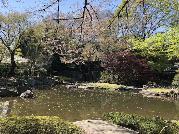 日本庭園って、全てが計算されていて美しい。